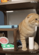 而是一个正正在成型的、具有较高护城河的数字 